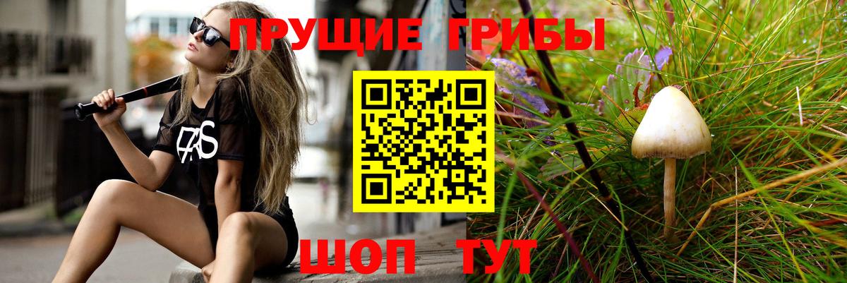 Псилоцибиновые грибы мицелий  купить  сайты  Вход с VPN  Коряжма  Галлюциногенные грибы мицелий 