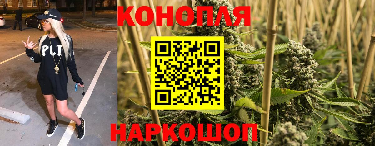 Бошки марихуана конопля Коряжма